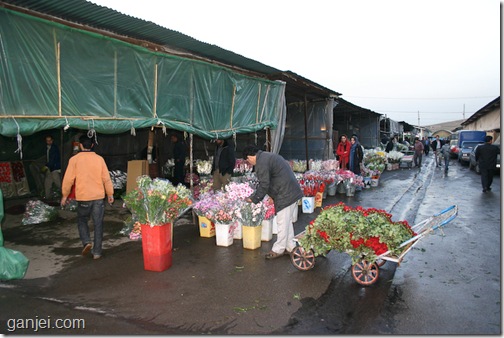 عکس بازار گل