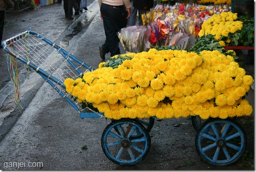 عکس بازار گل خاوران
